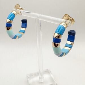 Roxanne Assoulin The Chubbies Earrings Blue Hoop Designer Jewelry Signed RA